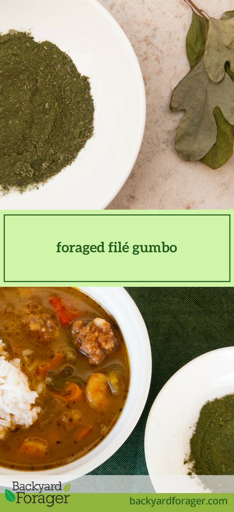 foraged filé gumbo Gumbo File Recipe, Lobster Stock, Gumbo File, Foraged Food, Gumbo Recipe, Pork Sausage, Peppers And Onions, Okra, Gumbo