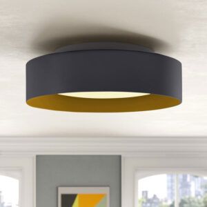 Cliff Forest, Brighten Bedroom, Modern Flush Mount, Semi Flush Lighting, Big House, Overhead Lighting, Modern Vanity, Bath Bar, Traditional Lighting