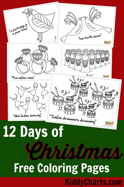 12 days of Christmas colouring pages or sheets for you to colour in - as well as a Christmas Countdown chart based on the Partridge in the Pear tree song. All FREE. What more could you ask for? 12 Days Of Christmas Coloring Pages, Free Colouring Pages, Christmas Colouring Pages, Coloring Christmas, 12 Days Of Xmas, Christmas Colouring, The 12 Days Of Christmas, Christmas Program, Christmas Activities For Kids