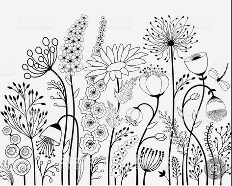 Zendoodle Art Flower, Wildflower Line Drawing, Wildflower Drawings, Doodling Flowers, Ako Kresliť, Butterfly Black And White, Doodle Art Flowers, Flower Line Drawings, White Drawing