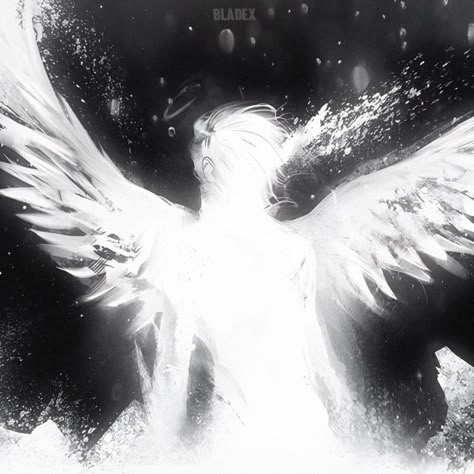 Pure Beauty Aesthetic, 2k7 Aesthetic, Dark Angel Pfp, Black White Widget, Angelcore Aesthetic White, Black And White Aesthetic Pfp, Dark Angelcore Aesthetic, Dark Angelcore, Pastel Pink Icons:)