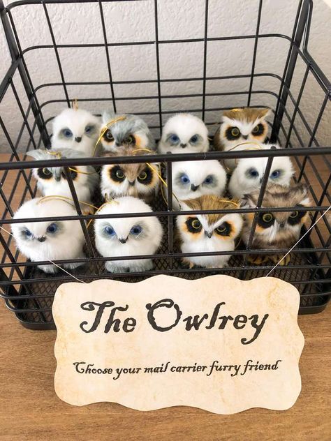 Harry Potter Party Owlery, Harry Potter New Years Eve Party, Lego Harry Potter Birthday Party Ideas, Hedwig Party Ideas, Harry Potter Bday Party Ideas, Harry Potter Quidditch Trunk Or Treat, Backyard Harry Potter Party, Harry Potter Birthday Goodie Bag, Sorting Hat Ideas For Party