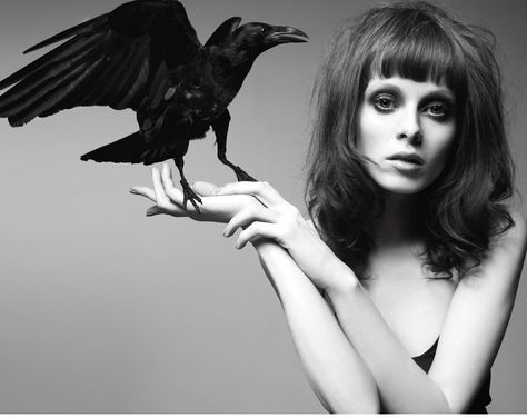 Raven Bird, Karen Elson, V Magazine, Jack White, Bird Photography, Top Photo, Black Bird, Black And White Photography, Creative Photography