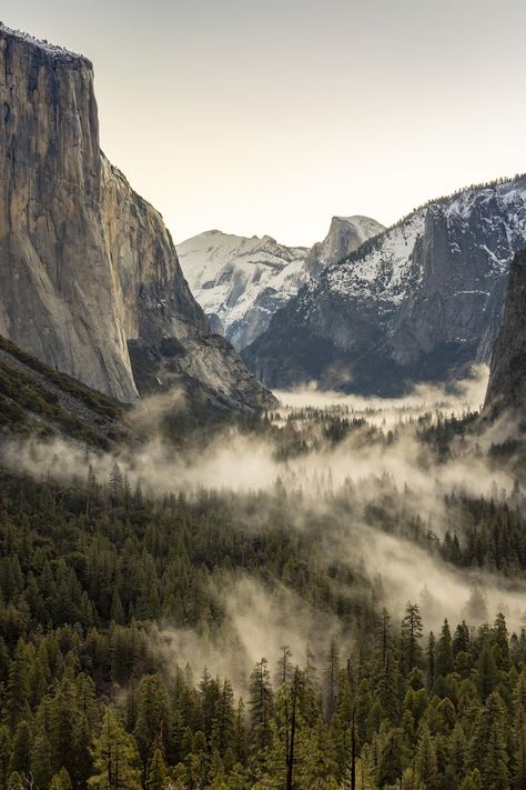 Yosemite Minimalist Wallpaper Phone, Mountain Aesthetic, Space Phone Wallpaper, Iphone Wallpaper Landscape, National Park California, Scenery Photography, Forest Background, Mountain Wallpaper, Landscape Scenery