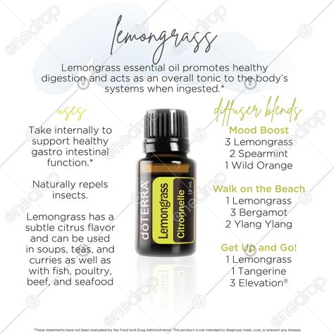 LemongrassA tall, perennial plant, Lemongrass has a subtle citrus flavor and is used in Asian cuisine in soups, teas, and curries as well as with fish, poultry, beef, and seafood. In addition to its unique flavor, Lemongrass essential oil promotes healthy digestion and acts as an overall tonic... #lemongrass #jan #how to use lemongrass #top uses for lemongrass #lemongrass diffuser blends #lemongrass uses #lemongrass benefits #wellnessadvocate #doterra #wellnessstockphotos #onedropdesigns # Brittany Font, Digest Zen, Doterra Tea Tree, Doterra Oregano, Doterra Wild Orange, Wild Orange Essential Oil, Doterra Essential Oils Recipes, Woody Scent, Lime Essential Oil