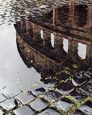 #dearfab #colosseo (presso Colosseo, Roma, Italia) The Reflection, Halong Bay, Rome Italy, Oh The Places Youll Go, 그림 그리기, Beautiful World, Budapest, Wonders Of The World, Places To See