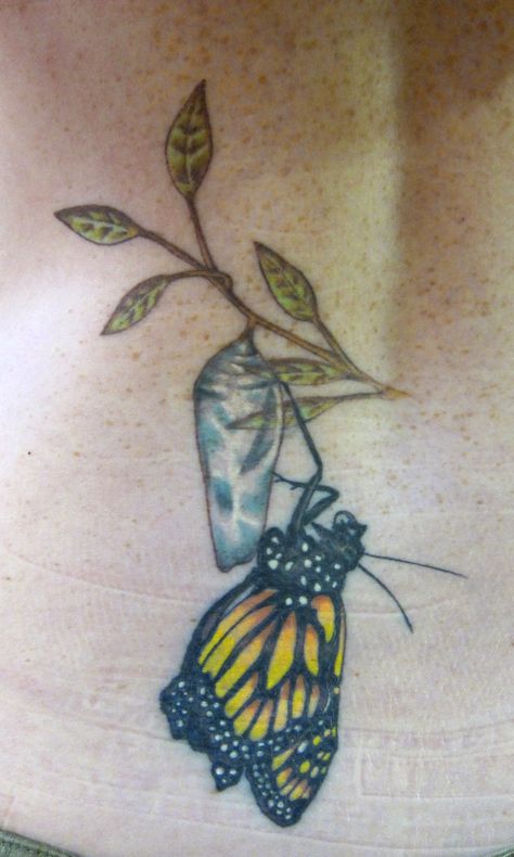 Chrysalis Butterfly Cocoon Tattoo, Chrysalis Tattoo, Cocoon Tattoo, Emerging Butterfly, Metamorphosis Tattoo, Fascinating Pictures, Butterfly Cocoon, Monarch Butterfly Tattoo, Butterfly Name Tattoo