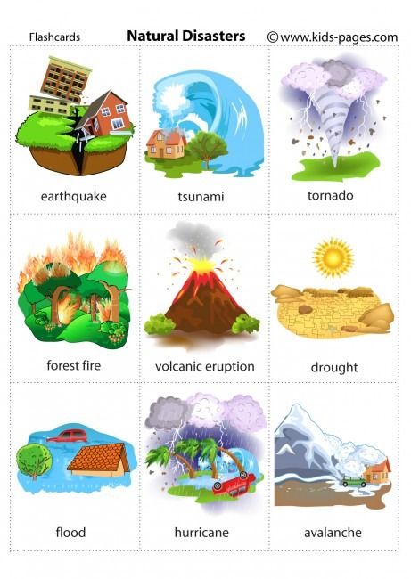 Natural Disasters For Kids, Natural Disasters Lessons, Natural Disasters Activities, Natural Disasters Art, Emergency Preparedness Checklist, Kids Pages, Printable Flash Cards, Easy Learning, Study Hard