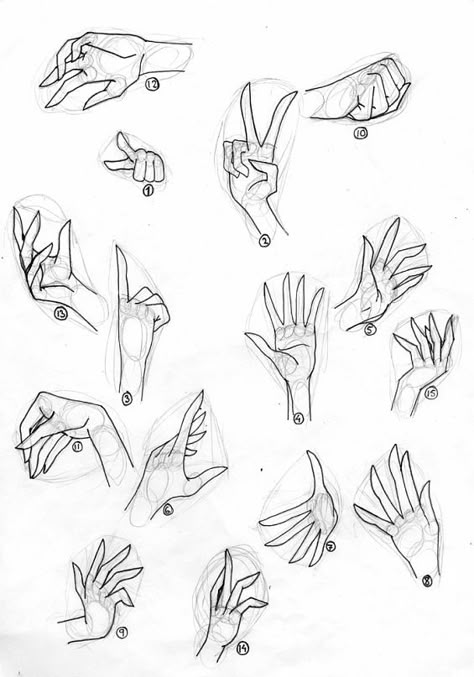 Si tu problamas son las manos este pine es para ti espero que te ayude :3 Hand Shapes Drawing, Woman Hand Reference, Woman Hand Drawing, Drawings Of Hands, Hands Poses, Hand References, Fashion Illustration Poses, Draw Hands, Hand Drawing Reference