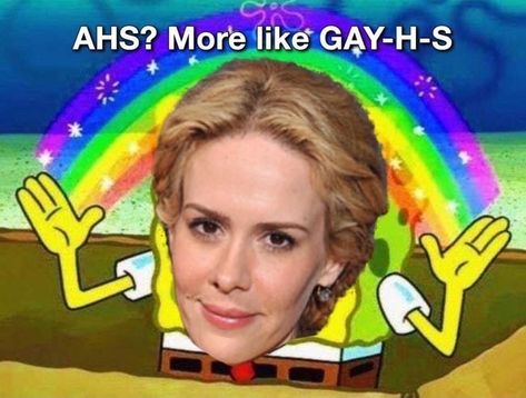 American Horror Story Memes, American Horror Story Funny, Gay Meme, Ahs Cast, Ahs Hotel, American Horror Story 3, Gay Humor, The Book Club, Sarah Paulson