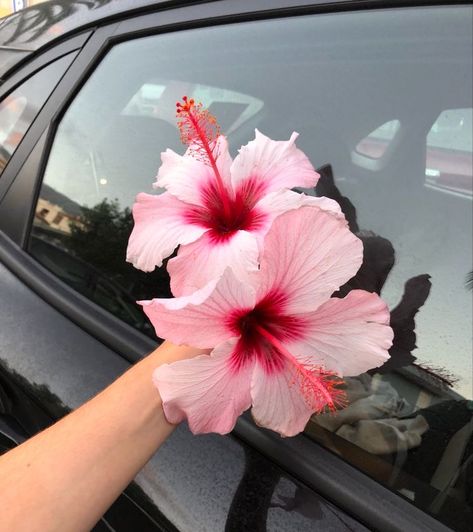 Zoomed In Flower, Nail Art Flower, Boquette Flowers, Nothing But Flowers, Flower Therapy, Beautiful Bouquet Of Flowers, Adam Sandler, Dress Flower, Rosa Pink