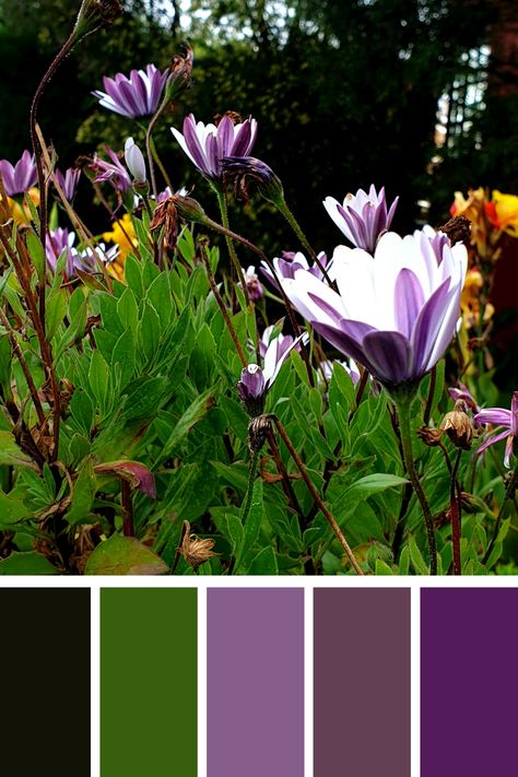 Graceful flowers with white and purple petals among green stems and leaves. The subtle blend of green and purple hues creates a harmonious and vibrant garden scene. Color Scheme Generator, Purple Color Palette, Purple Petals, Purple Color Palettes, Palette Color, Color Harmony, Color Palette Generator, Purple Hues, Shades Of Purple