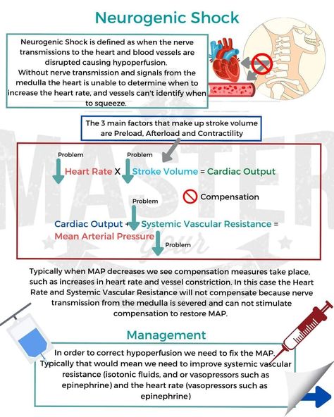 Neurogenic Shock, Mean Arterial Pressure, College Advice, Medical Knowledge, Paramedic, Blood Vessels, Nerve, Heart Rate, Surgery