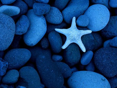 Color Azul - Blue!!! pretty blue rocks Le Grand Bleu, Rhapsody In Blue, Baja California Mexico, Ocean Pictures, Principles Of Design, Sea Star, Feeling Blue, Love Blue, Blues Rock