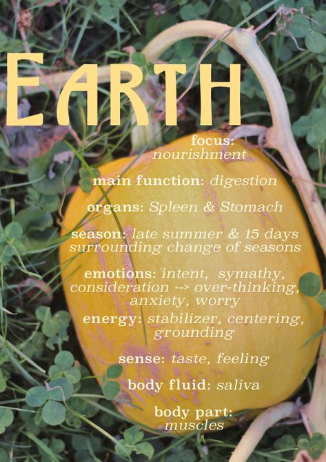 Earth Element: The Functions of the Spleen and Stomach in Chinese Medicine - Celia Linnemann Chinese Medicine Diet, Chinese Healing, Ayurveda Kapha, Digestion Yoga, Guided Visualization, Element Earth, Chinese Element, Face Reading, Earth Element