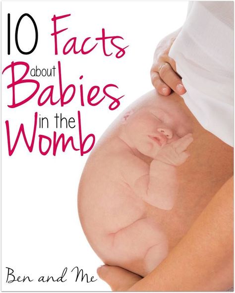 Ten Facts About Babies in the Womb Facts About Babies, Baby Development In Womb, Baby Development Chart, Biblical Homeschooling, Baby In Womb, Homeschool Advice, God's Timing, Parent Trap, Parenting Girls