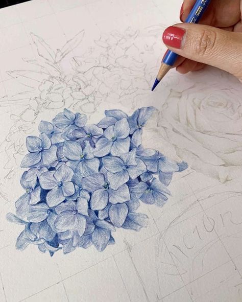 Drawing Flowers, Seni Dan Kraf, 카드 디자인, 수채화 그림, Color Pencil Art, Watercolor Inspiration, Watercolour Tutorials, Watercolor Techniques, Timber Frame