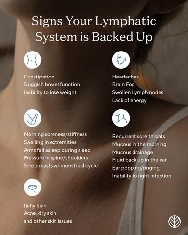 Nervus Vagus, Lymph Drainage Massage, Lymph Massage, Lymph System, Lymph Drainage, Skincare Secrets, Self Massage, Lack Of Energy, Lymph Nodes