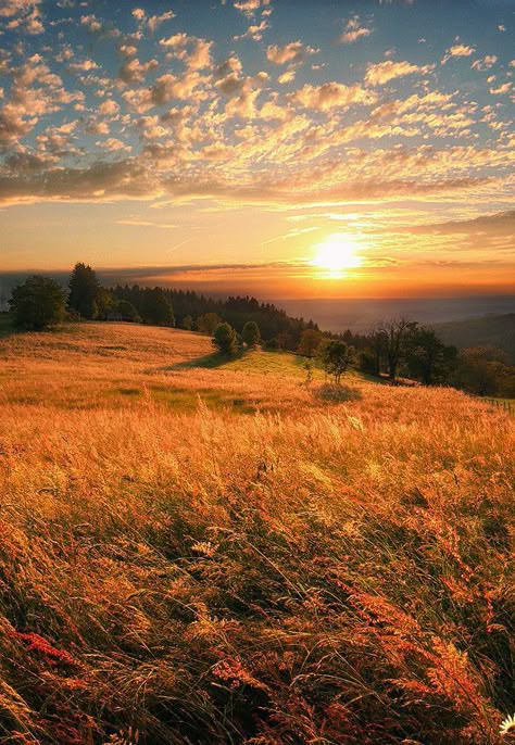 Clouds In The Sky, Image Nature, Awesome Pictures, Pretty Landscapes, Summer Is Here, Jolie Photo, Alam Yang Indah, Nature Aesthetic, Pretty Places