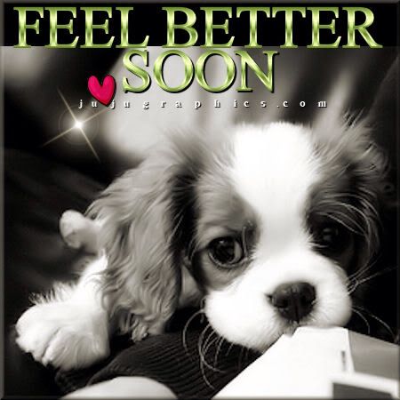 Feel Better Gif, Get Well Soon Images, Get Well Prayers, Get Well Soon Quotes, Animated Happy Birthday Wishes, Hope Youre Feeling Better, Get Well Soon Messages, Hug Images, Get Well Messages