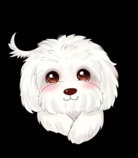 Fluffy White Dog Drawing, Maltese Drawing Cartoon, Maltese Dog Illustration, Loki Recipe, Maltipoo Drawing, Cute White Dogs, Maltipoo Dog, Puppy Drawing, Puppy Wallpaper