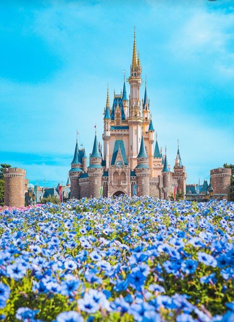 Disney World Wallpaper Iphone, Disney World Aesthetic Wallpaper, Disney Castle Wallpaper, Disney World Photography, Dunia Disney, Disney World Castle, Foto Disney, Image Princesse Disney, Disney World Pictures