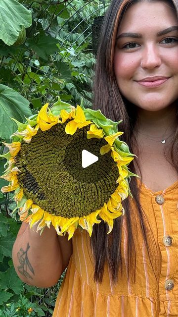 Corn Garden, Growing Sunflowers, Sunflower Head, Diy Grill, Garden Harvest, Corn On The Cob, Grow Your Own Food, Sunflower Seeds, Garden Inspiration