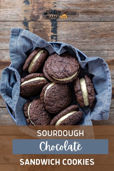 Sourdough Chocolate Sandwich Cookies Chocolate Sourdough Cookies, Sourdough Oreo Cookies, Sourdough Chocolate Cookies, Sourdough Gingerbread Cookies, Dessert Sourdough, Use Sourdough Starter, Sourdough Desserts, Pantry Mama, Sourdough Cookies