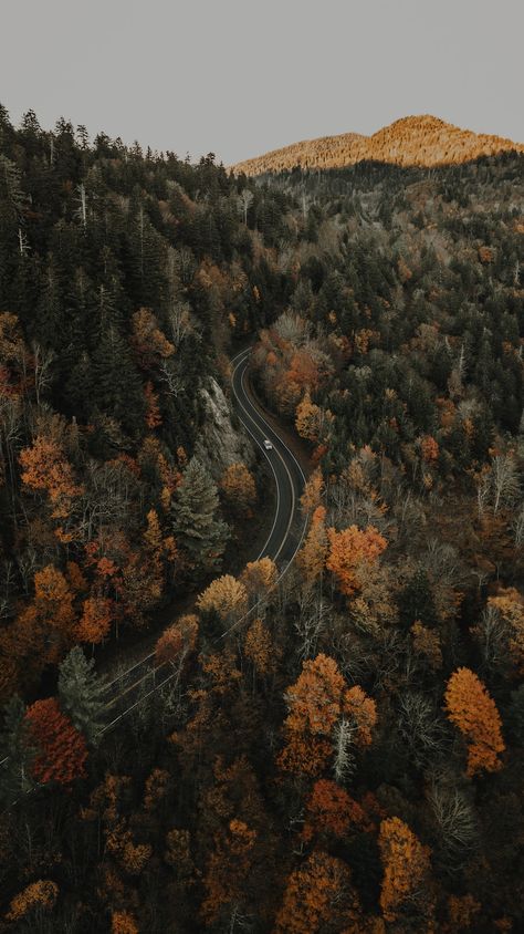 Free Fall Wallpaper, Hapkido, Forest Road, Fall Wallpaper, Nature Aesthetic, Scenery Wallpaper, Nature Wallpaper, Most Beautiful Places, Aerial View