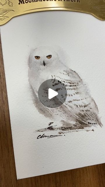 Snowy Owl Art, Chinese Calligraphy Brush, Owl Watercolor, Learn Watercolor Painting, Calligraphy Brush, Learn Watercolor, Cute Paintings, Owl Painting, Watercolor Paintings Tutorials