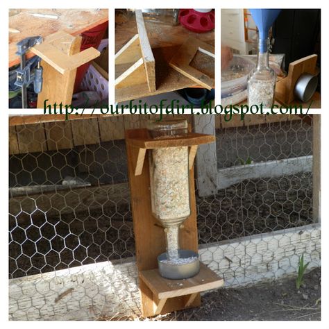 Chicken Shells, Backyard Animals, Chicken Coop Garden, Chicken Nesting Boxes, Shell Ideas, Chicken Ideas, Crazy Chicken, Diy Chicken, Animal Husbandry