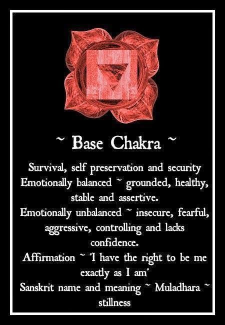 Muladhara Chakra, Manipura Chakra, Root Chakra Healing, Base Chakra, Chakra Affirmations, Healing Touch, Energy Medicine, Zen Meditation, Qi Gong