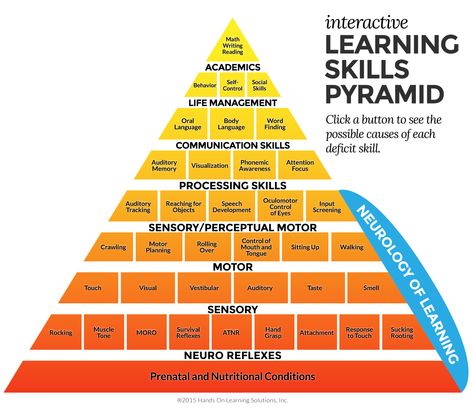 The Learning Skills Pyramid: An Integrated Approach | Hands On Learning Solutions Learning Pyramid, Math Writing, Learning Skills, Learning Tips, Struggling Students, Learning Strategies, Aktivitas Montessori, Instructional Design, Learning Styles