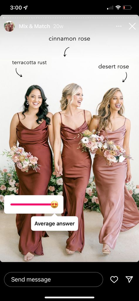 Bridesmaid Dresses Color Palette, Classic Gown, Bridal Parties Colors, Cinnamon Rose, Fall Bridesmaids, Wedding Motifs, Fall Bridesmaid Dresses, Rose Bridesmaid Dresses, Bridesmaid Colors