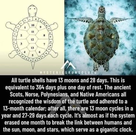 Ancient History Facts, Cool Science Facts, Spirit Science, Unbelievable Facts, Ancient Knowledge, Ancient Mysteries, Up Book, Science Facts, Interesting History