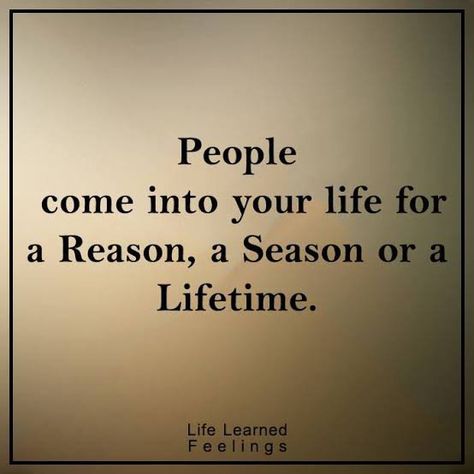 People Come Into Our Life for 3 Reasons – Fresh Mind Story Season Quotes, Words Of Wisdom Quotes, Time To Move On, Great Words, For A Reason, Good Thoughts, Need You, Some People, When Someone