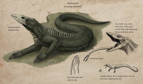 Speculative K:SI bullshit: Skullcrawler by https://ramul.deviantart.com on @DeviantArt Skull Crawler, King Kong Skull Island, Kong Skull Island, Monster Verse, Mythical Monsters, Speculative Evolution, Godzilla Monsters, All Godzilla Monsters, Godzilla Kaiju