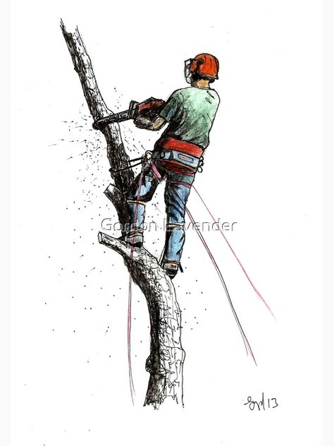 Climbing Art, Koi Painting, Tree Surgeons, Stihl Chainsaw, Rembrandt Van Rijn, Japanese Koi, Tree Stickers, Lumberjack, Paintings & Prints