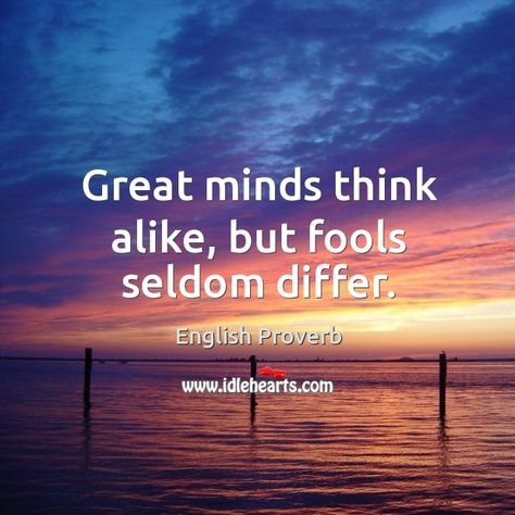 Great minds think alike, but fools seldom differ. English Proverbs, Great Minds Think Alike, Inspirational Quotes Pictures, Cosmetics Bag, Meaningful Quotes, Picture Quotes, The Fool, Proverbs, Wise Words