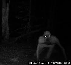 Natchez Ghosts: The Devil's Punchbowl: Paranormal Photographs: An Analysis Nightmare Wendigo Real, Terrifying Pictures, Images Terrifiantes, Trevor Henderson, Scary Monster, Monster Pictures, Unexplained Mysteries, The Rake, The Boogeyman