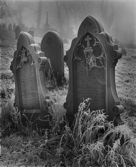 Old Cemetery, Gothic Images, Cemetery Headstones, Halloween Tombstones, Old Cemeteries, Cemetery Art, Horror Tattoo, Angel Statues, Six Feet Under