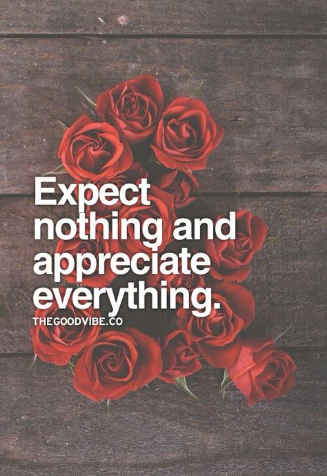 Expect nothing and appreciate everything Appreciate Everything, Expect Nothing, Inspirational Quotes Pictures, Inspirational Quotes Motivation, Beautiful Quotes, The Words, Great Quotes, Picture Quotes, Inspirational Words