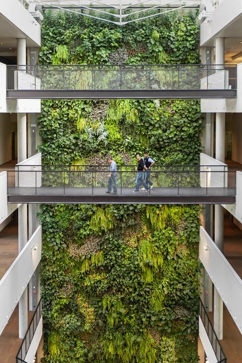 Indoor vertical garden By SUNDAR ITALIA Green Building Architecture, Vertikal Garden, Atrium Design, Vertical Garden Indoor, Vertical Garden Design, Green Facade, Eco Architecture, Casa Patio, Garden Architecture