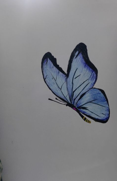 Butterfly 🦋 drawing Side Butterfly Drawing, Butterfly In Hair, Side Butterfly, Drawing Butterfly, Hair Drawing, Butterfly Drawing, Easy Drawings Sketches, Deck Design, How To Draw Hair