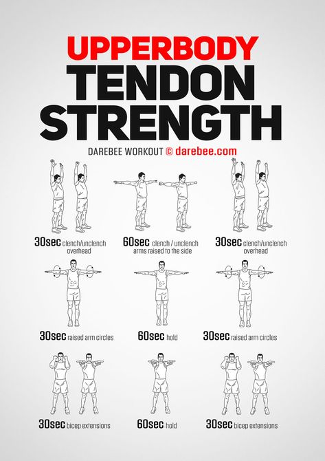 Upperbody Tendon Strength Workout Upper Body Strength Workout, Beginner Pilates, Pilates Video, Upper Back Pain, Planet Fitness, Body Workout At Home, Yoga Iyengar, Upper Body Strength, Keto Food