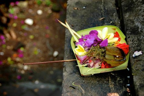 Bali offerings - placed each day on the streets by businesses, outside houses, hotels etc. A way of saying "thank-you" to the gods.... Bali Offerings, Earth Offerings, Prayer Altar, Restaurant Identity, Coconut Leaves, Square Baskets, Vision Quest, Ubud Bali, Beautiful Scenes