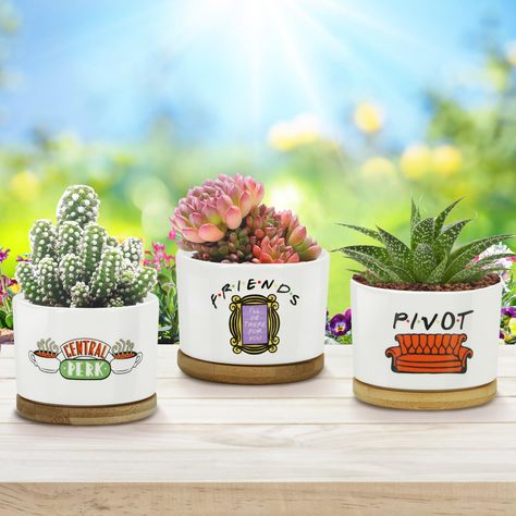 PRICES MAY VARY. 🌳What You Get -- 3 Piece Plant Pots（3.2 inch） Friends Tv Show Gifts】3 Piece Plant Pots designed specifically for Friends lovers. Each set of flower pots is printed with unique elements of friends merchandise. The purpose of these flower pots is not only for cute friends decor, also to bring you beautiful memories of the past. the friends memorabilia for you.(Note: Plants are not included!) 🌷【Plant Pots】This is a gift that makes TV program fans happy. Perfect as a unique gift f Friends Tv Show Decorations, Friends Decor, Friends Tv Show Gifts, Plant Pot Design, Friends Merchandise, Program Fans, Funny Friends, Friends Tv Series, Tv Program