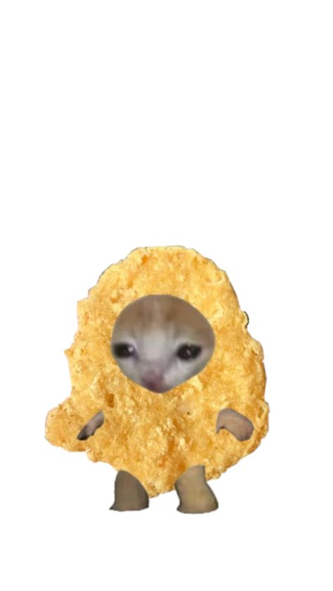 He's a chickin nugget🤪🔥 Chicken Nugget Pfp, Cat Chicken Nugget, Food Meme, Food Cat, Cat Pfp, Chicken Nugget, Food Memes, Cat Costume, Chicken Humor