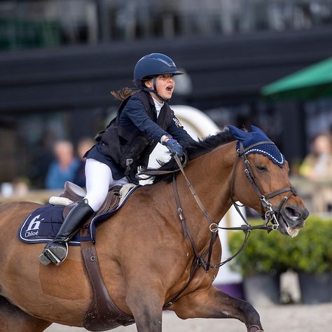 Horseback Aesthetic, Light Bay Horse, Jumping Pictures, Aesthetic Horse, Bay Horses, Horsey Life, Show Jumping Horses, Equestrian Aesthetic, Cute Horse Pictures