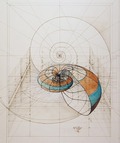 Architectural Renderings of Life Drawn with Pencil and Pen by Rafael Araujo drawing butterflies architecture 3d Fibonacci Spiral, Lines And Shapes, Colossal Art, Cultural Architecture, Math Art, Geometry Art, �수채화 그림, Golden Ratio, Art Et Illustration